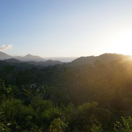 La Mona Eco Cabins Palomino Ngoại thất bức ảnh