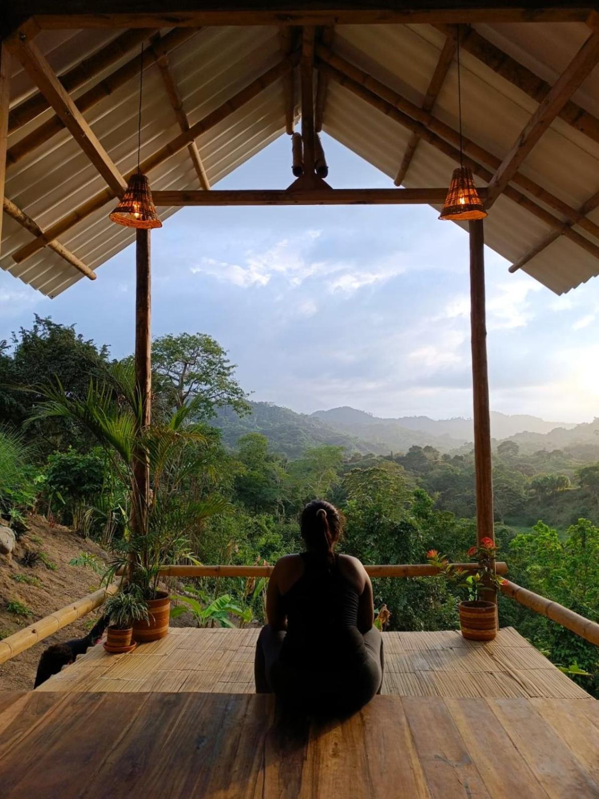 La Mona Eco Cabins Palomino Ngoại thất bức ảnh