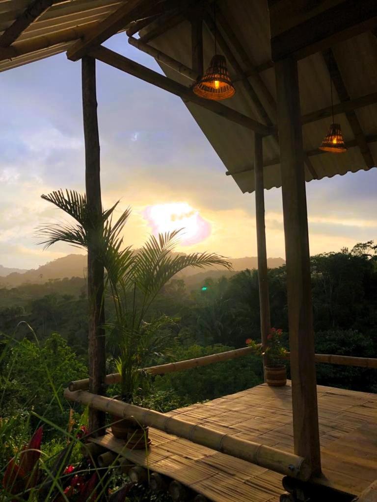 La Mona Eco Cabins Palomino Ngoại thất bức ảnh