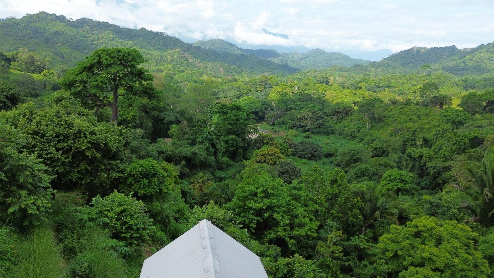 La Mona Eco Cabins Palomino Ngoại thất bức ảnh