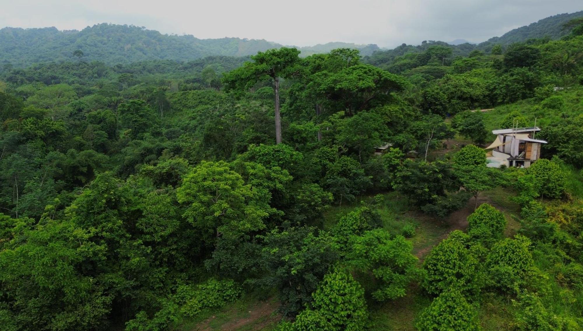 La Mona Eco Cabins Palomino Ngoại thất bức ảnh