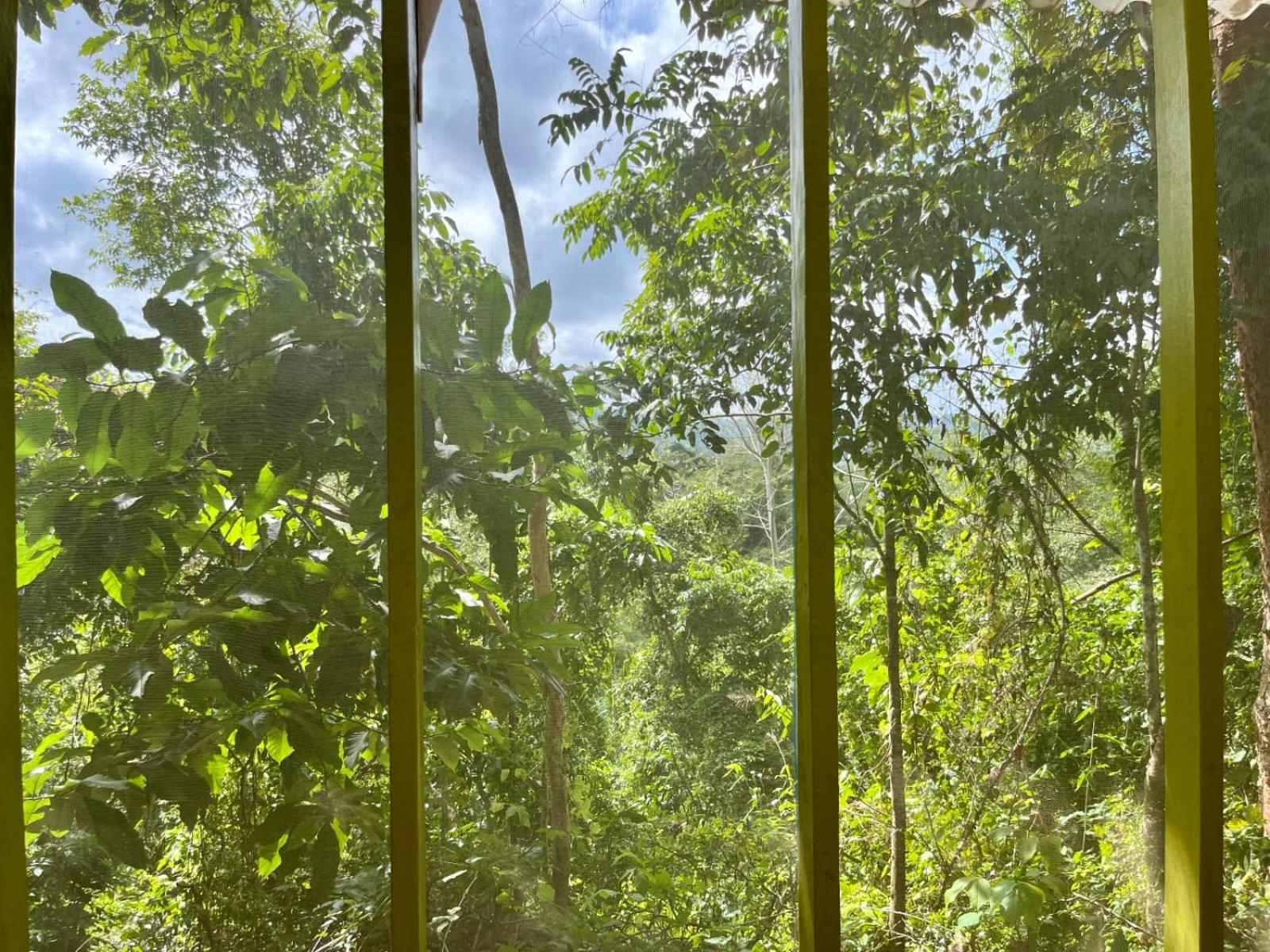 La Mona Eco Cabins Palomino Ngoại thất bức ảnh